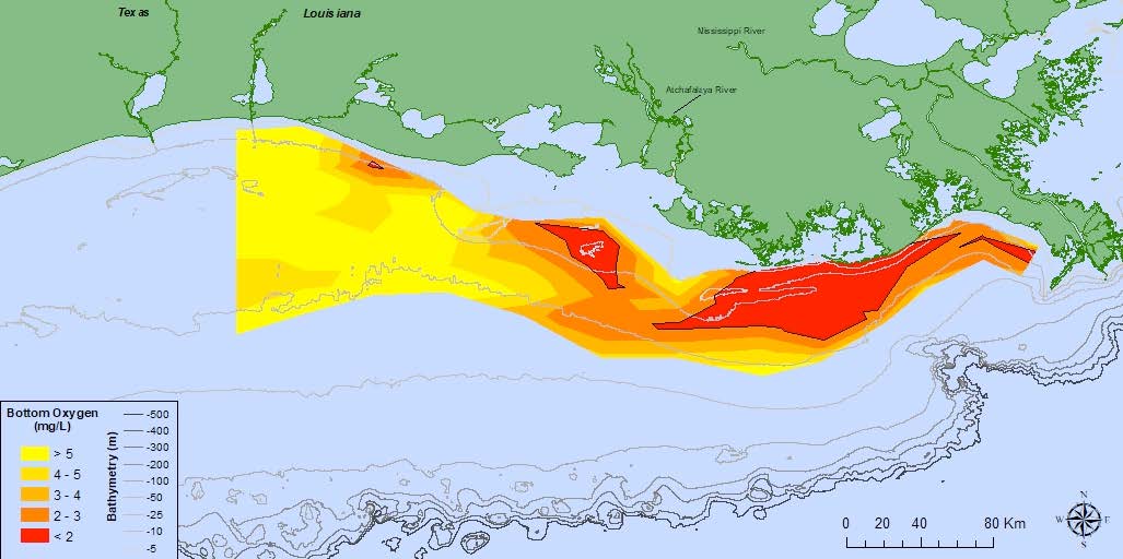 forecast of the coast