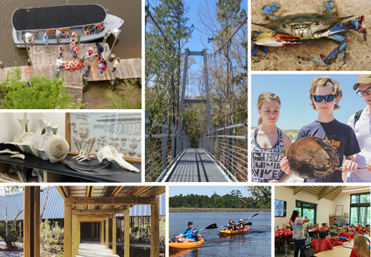 collage of marine education center