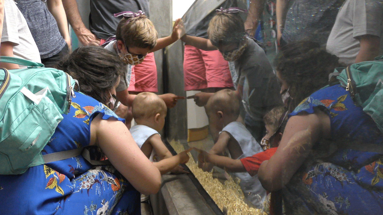 People looking at aquarium glass