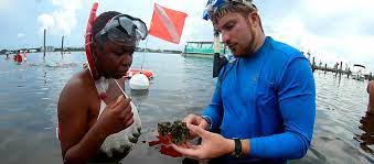 Inspecting a sea creature in marine science class