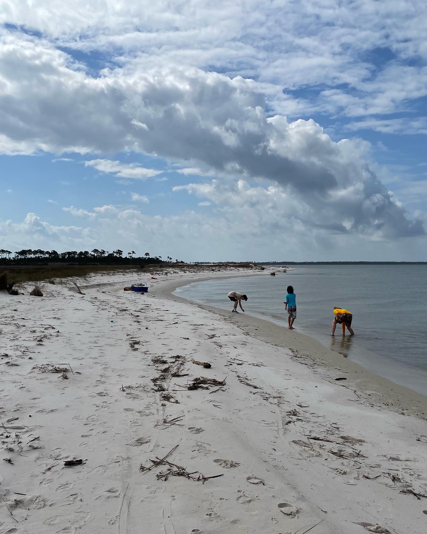 3 kids on the shoreline